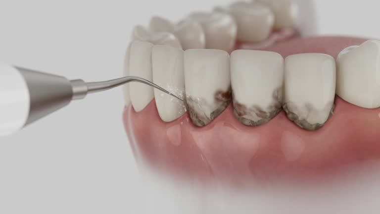 Reliable Dental contractor in Columbia City, OR by Dentist Open Now